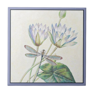 Lotus- en libellentegeltje tegeltje