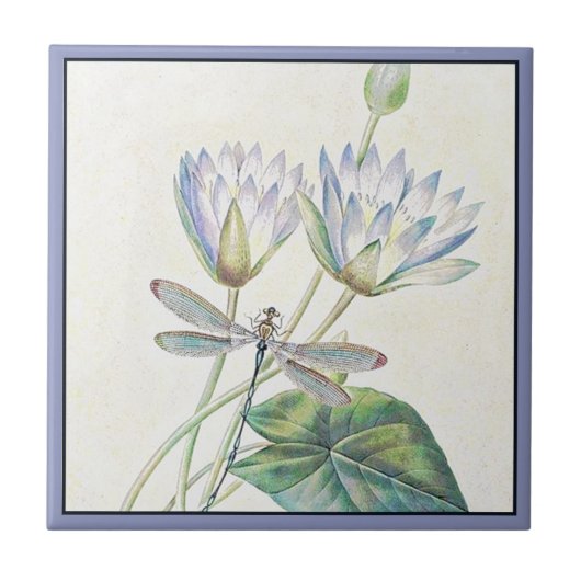 Lotus- en libellentegeltje tegeltje (Voorkant)