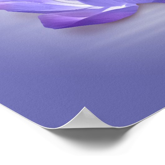 Lotus- en OM-symbool Poster (Hoek)