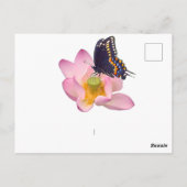 Lotus en vlinder briefkaart (Achterkant)