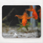 Lotus Fantail Oranje Goldfish Mousepad Muismat (Voorkant)