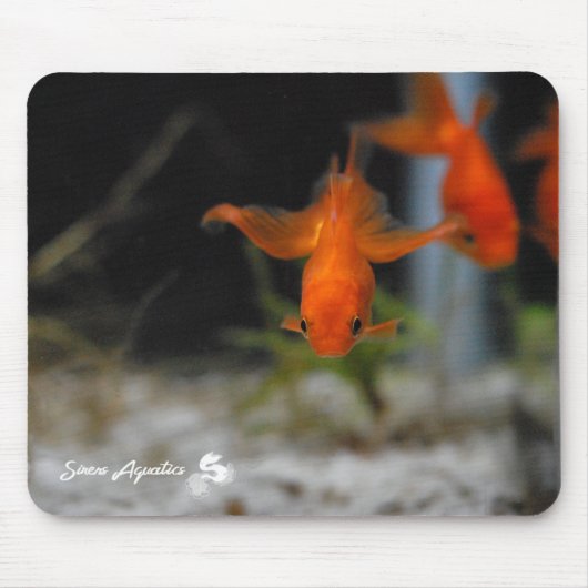 Lotus Fantail Oranje Goldfish Mousepad Muismat (Voorkant)