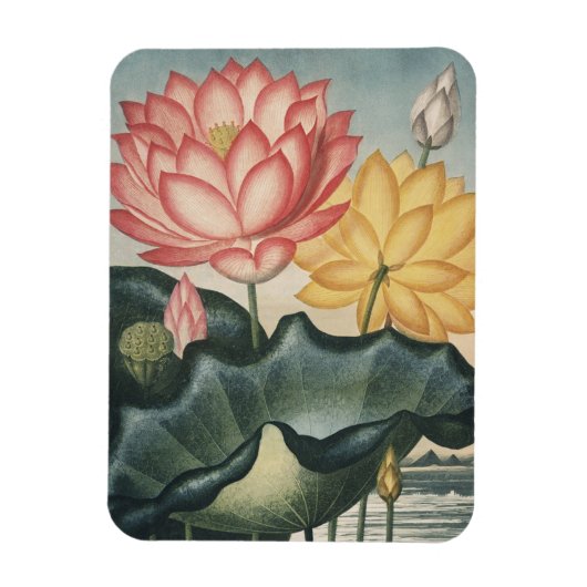 Lotus Fine Art Magneet (Verticaal)