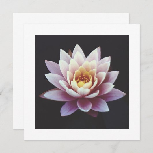 LOTUS FLAT-KAART (Voorkant / Achterkant)