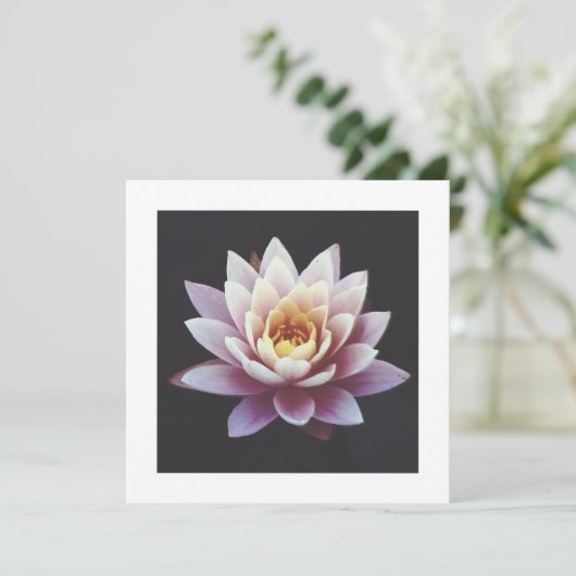 LOTUS FLAT-KAART (Staand voorkant)