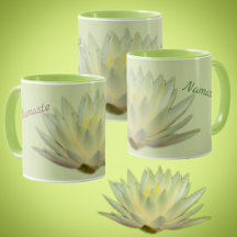 Lotus Floral Waterlelie Botanische Namaste Pastel