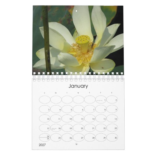 Lotus Flower 2008 Kalender (Jan 2027)