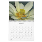 Lotus Flower 2008 Kalender (Mar 2027)