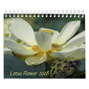 Lotus Flower 2008 Kalender