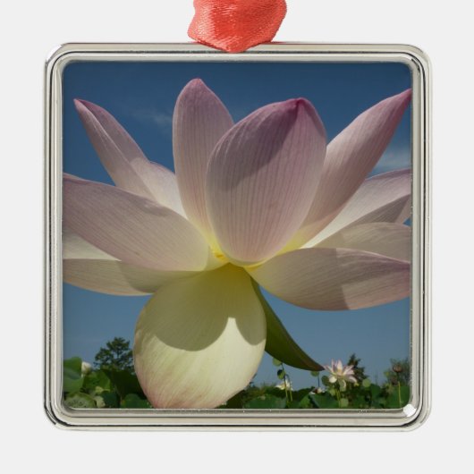 Lotus Flower and Blue Sky II Metalen Ornament (Voorkant)