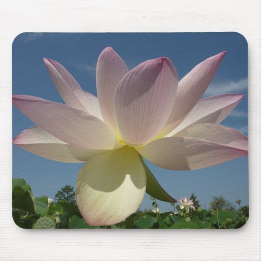Lotus Flower and Blue Sky II Muismat (Voorkant)