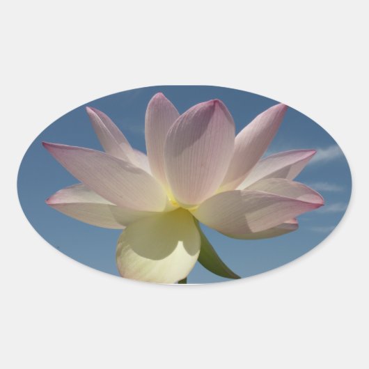 Lotus Flower and Blue Sky II Ovale Sticker (Voorkant)