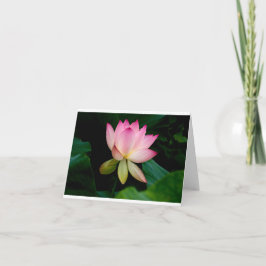 Lotus Flower - Blank gevouwen Kaart