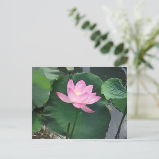 Lotus flower briefkaart (Staand voorkant)