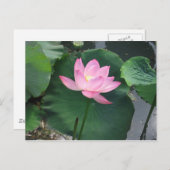 Lotus flower briefkaart (Voorkant / Achterkant)