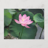 Lotus flower briefkaart (Voorkant)