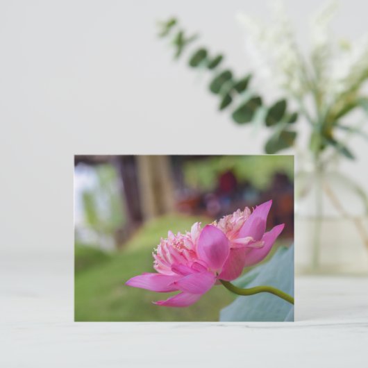 Lotus Flower Briefkaart (Staand voorkant)