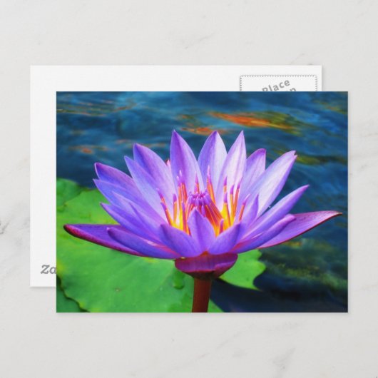 Lotus Flower Briefkaart (Voorkant / Achterkant)