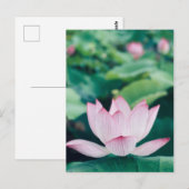 Lotus Flower Briefkaart (Voorkant / Achterkant)