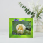 Lotus flower briefkaart (Staand voorkant)