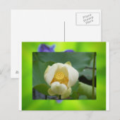 Lotus flower briefkaart (Voorkant / Achterkant)
