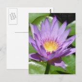 Lotus Flower Briefkaart (Voorkant / Achterkant)