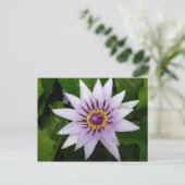 Lotus Flower Briefkaart (Staand voorkant)