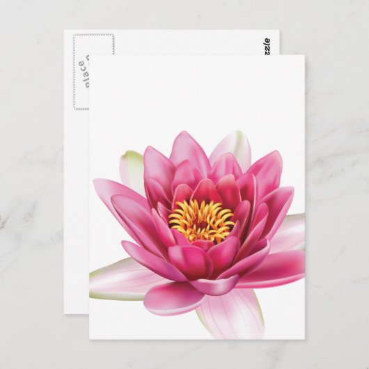Lotus Flower Briefkaart (Voorkant / Achterkant)
