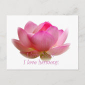 Lotus Flower Briefkaart (Voorkant)