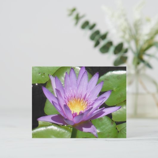 Lotus Flower Briefkaart (Staand voorkant)