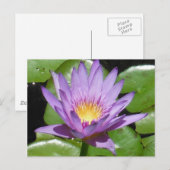 Lotus Flower Briefkaart (Voorkant / Achterkant)