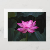 Lotus Flower Briefkaart (Voorkant / Achterkant)