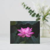 Lotus Flower Briefkaart (Staand voorkant)