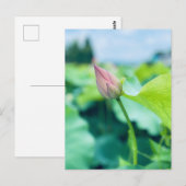 Lotus Flower Briefkaart (Voorkant / Achterkant)