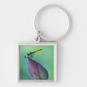 Lotus flower bud and a dragonfly sleutelhanger