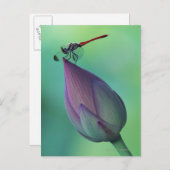 Lotus flower bud en libellen briefkaart (Voorkant / Achterkant)