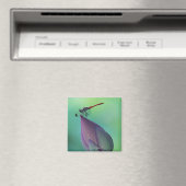 Lotus flower bud en libellen magneet (Insitu (Vaatwasser))