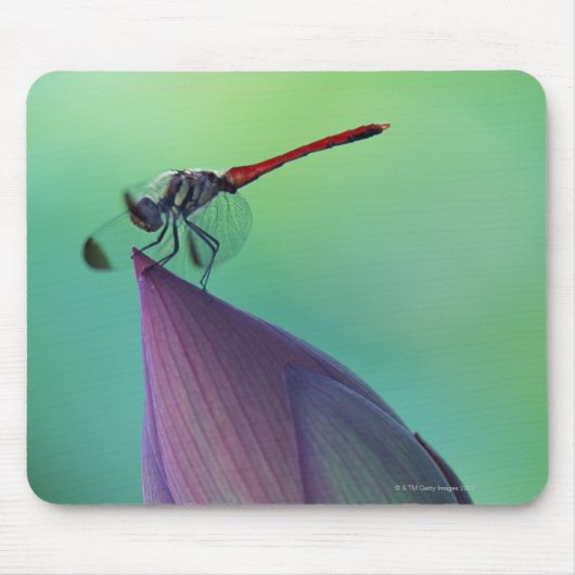 Lotus flower bud en libellen muismat (Voorkant)