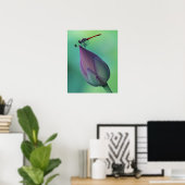 Lotus flower bud en libellen poster (Thuiskantoor)