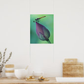 Lotus flower bud en libellen poster (Keuken)