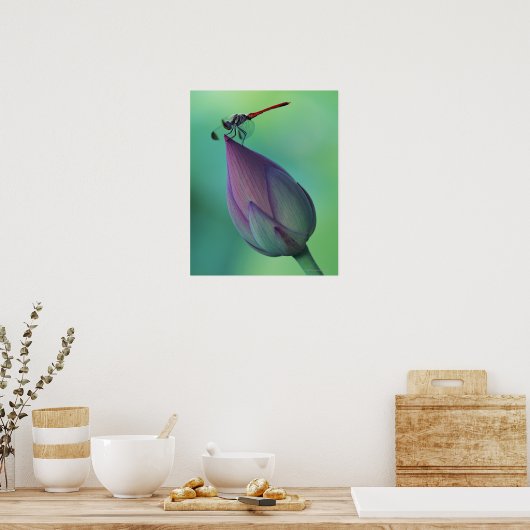 Lotus flower bud en libellen poster (Keuken)