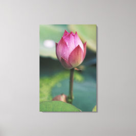 Lotus flower bud, Hangzhou, provincie Zhejiang, Canvas Afdruk