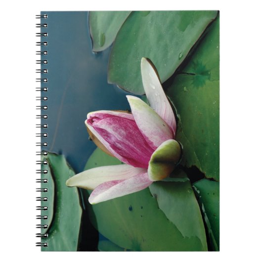 Lotus Flower Buddha Photo Notitieboek (80 pagina's (Voorkant)