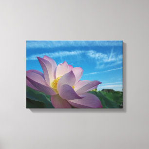 Lotus Flower Canvas Afdruk