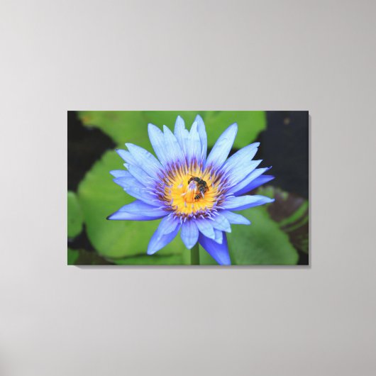 Lotus flower canvas afdruk (Voorkant)
