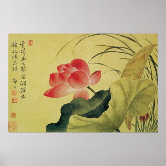 Lotus Flower Chinese Fine Art Poster (Voorkant)