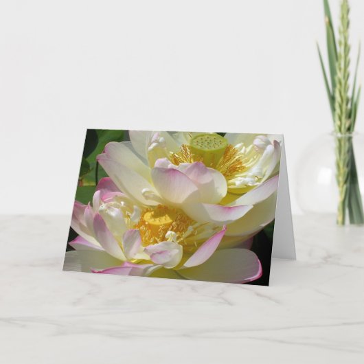 Lotus Flower Duet Kaart (Voorkant)
