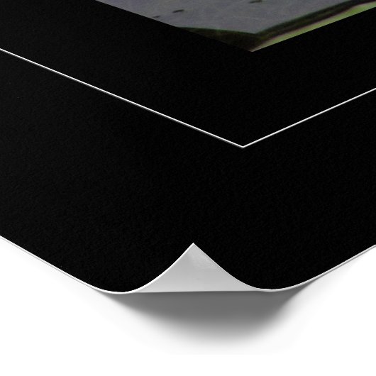 Lotus flower en Bernard Shaw Quote over het leven Poster (Hoek)