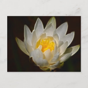 Lotus flower en betekenis briefkaart