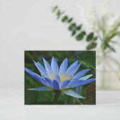 Lotus flower en betekenis briefkaart (Staand voorkant)